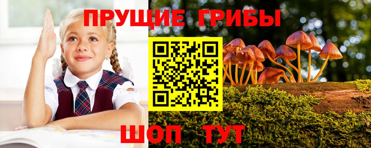 Амурск  Псилоцибиновые грибы мухоморы  как найти   Вход с VPN 